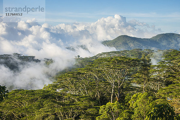 Wolken ziehen in den Bergen um Suai  Osttimor  Südostasien  Asien