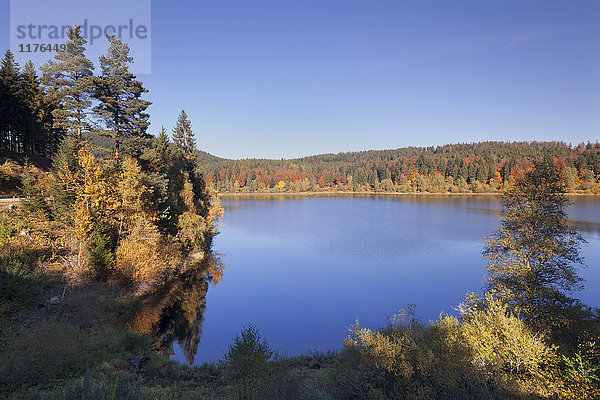 Schwarzenbachtalsperre  Schwarzenbachtalsperre  bei Forbach  Schwarzwald  Baden Württemberg  Deutschland  Europa