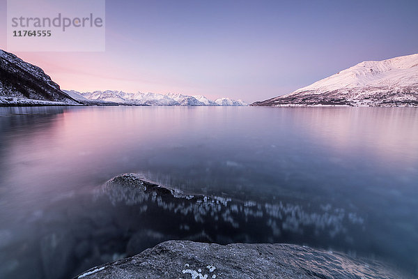 Rosa Himmel und schneebedeckte Gipfel spiegeln sich im gefrorenen Meer bei Sonnenuntergang  Manndalen  Kafjord  Lyngen Alps  Troms  Norwegen  Skandinavien  Europa