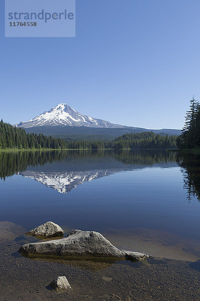 Mount Hood  Teil der Cascade Range  spiegelt sich perfekt im ruhigen Wasser des Trillium Lake  Oregon  Vereinigte Staaten von Amerika  Nordamerika