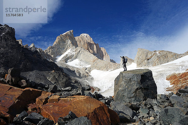 Blick hinauf zum Monte Fitz Roy  El Chalten Massiv  Argentinisches Patagonien  Argentinien  Südamerika