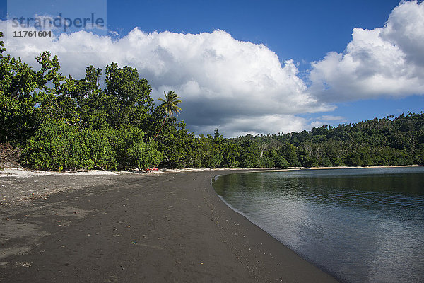 Hübscher schwarzer Vulkansandstrand  Epi Island  Shepherd Islands  Vanuatu  Pazifik