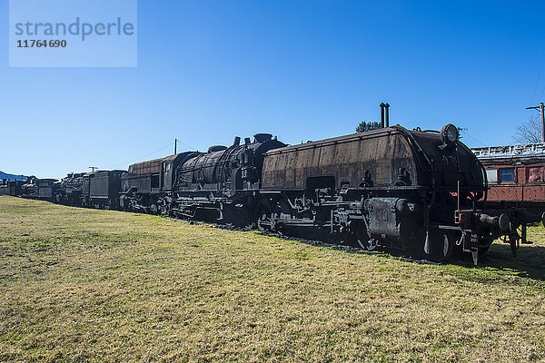 Alte Dampfzüge der Dorrigo-Eisenbahnlinie  Dorrigo National Park  New South Wales  Australien  Pazifik