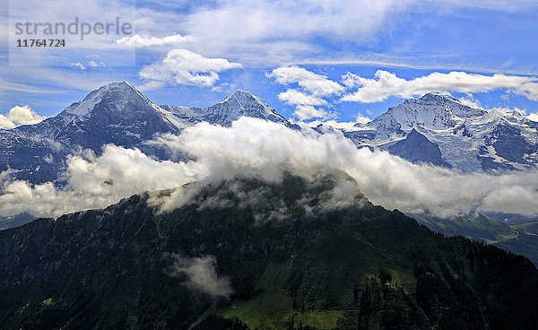 Eiger  Mönch und Jungfrau  gesehen von der Schynige Platte  Berner Oberland  Kanton Bern  Schweiz  Europa