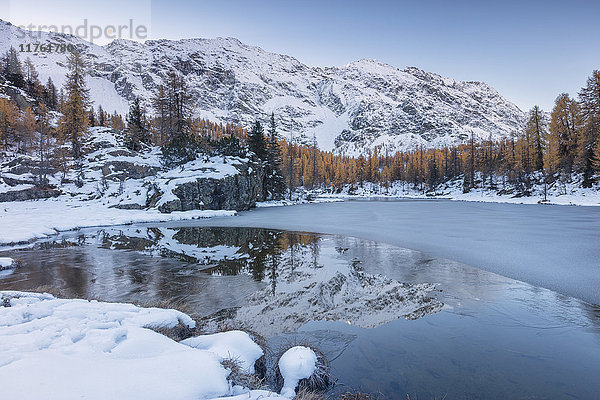 Die schneebedeckten Gipfel spiegeln sich im zugefrorenen Mufule-See  Malenco-Tal  Provinz Sondrio  Valtellina  Lombardei  Italien  Europa