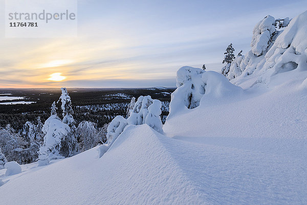 Die Sonne umrahmt die verschneite Landschaft und die Wälder im kalten arktischen Winter  Ruka  Kuusamo  Region Österbotten  Lappland  Finnland  Europa