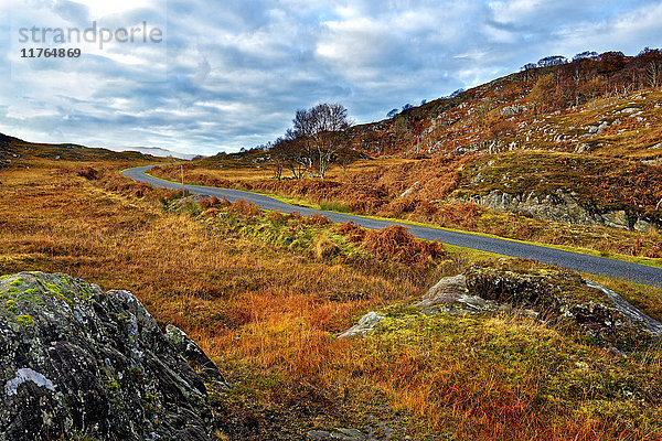 Ein Winterblick auf eine abgelegene kurvenreiche Straße durch die farbenfrohen Moore und Hügel der Halbinsel Ardnamurchan  Schottische Highlands  Schottland  Vereinigtes Königreich  Europa