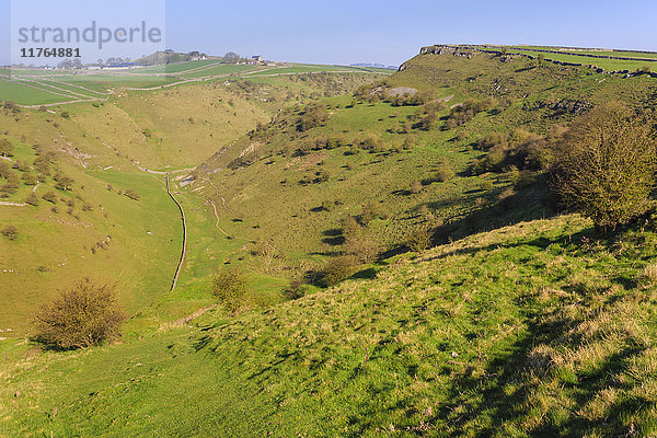 Cressbrook Dale Nature Reserve  Hügellandschaft  Blick von oben im Frühling  Peak District National Park  Derbyshire  England  Vereinigtes Königreich  Europa