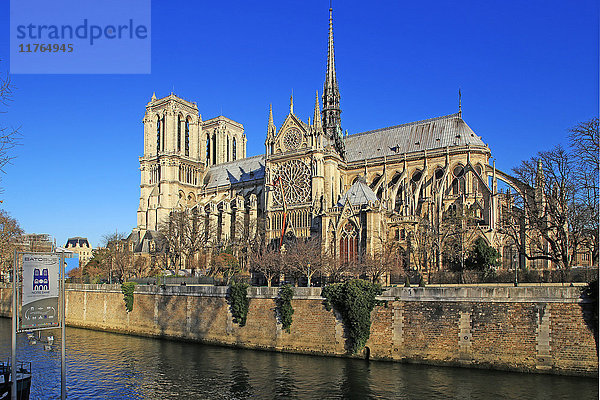 Seine mit der Kathedrale Notre Dame  UNESCO-Weltkulturerbe  Paris  Ile de France  Frankreich  Europa