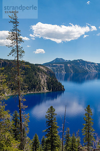 Wolke  die sich im stillen Wasser des Crater Lake spiegelt  dem tiefsten See der USA  Teil der Cascade Range  Oregon  Vereinigte Staaten von Amerika  Nordamerika