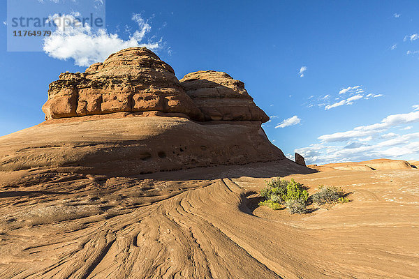 Felsformation auf dem Weg zum Delicate Arch  Arches National Park  Moab  Grand County  Utah  Vereinigte Staaten von Amerika  Nordamerika