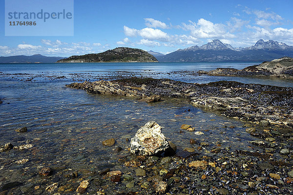 Küstenszene im Nationalpark Tierra del Fuego  Feuerland  Argentinien  Südamerika