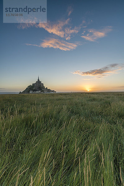 Sonnenaufgang mit Gras im Vordergrund  Normandie  Frankreich  Europa