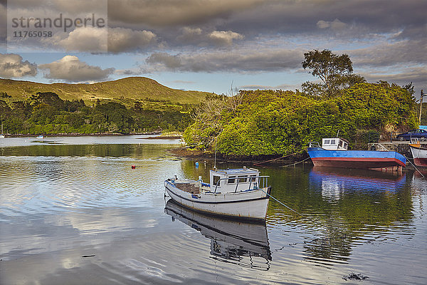 Der Hafen von Glengarriff  Grafschaft Cork  Munster  Republik Irland  Europa