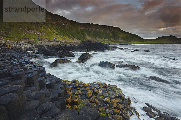 Abendlicher Blick auf den Giant's Causeway  UNESCO-Weltkulturerbe  County Antrim  Ulster  Nordirland  Vereinigtes Königreich  Europa