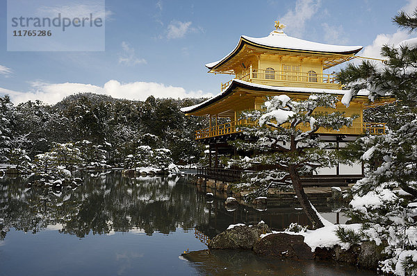 Schneebedeckter Kinkaku-ji (Tempel des Goldenen Pavillons) (Rokuon-ji)  UNESCO-Weltkulturerbe  Kyoto  Japan  Asien