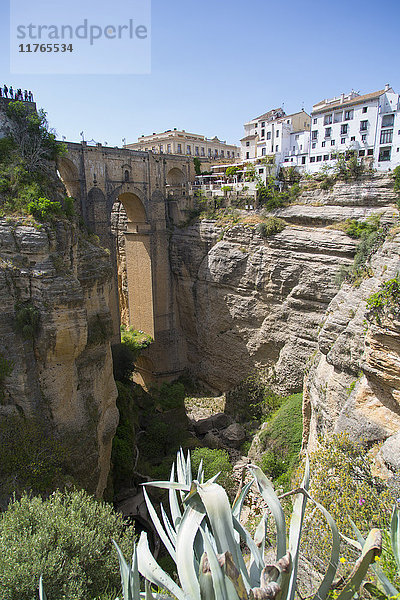 Blick auf Ronda und Puente Nuevo von Jardines De Cuenca  Ronda  Andalusien  Spanien  Europa