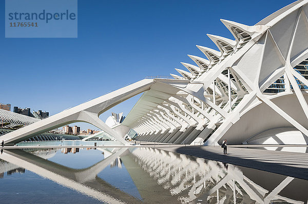 Die Stadt der Künste und Wissenschaften  Valencia  Spanien  Europa