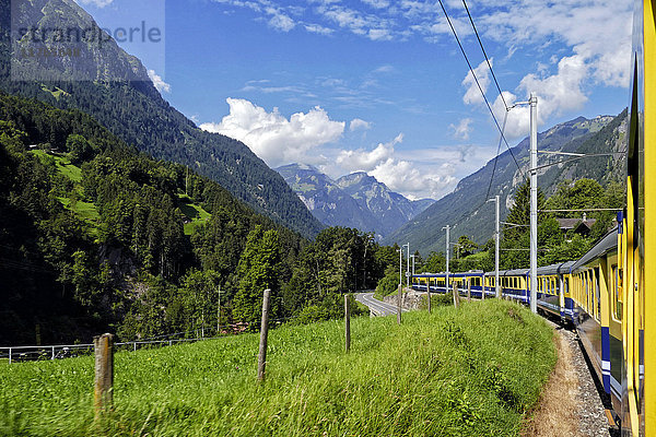 Berner Oberlandbahn in Lutschental bei Grindelwald  Berner Oberland  Schweiz  Europa