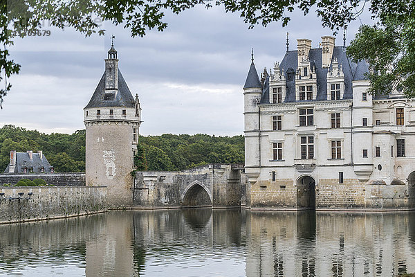 Detail des Schlosses Chenonceau  UNESCO-Welterbe  Chenonceaux  Indre-et-Loire  Centre  Frankreich  Europa