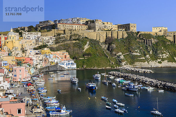 Marina Corricella  hübsches Fischerdorf  Boote unterhalb der Festung der Terra Murata Akropolis  Insel Procida  Golf von Neapel  Kampanien  Italien  Europa