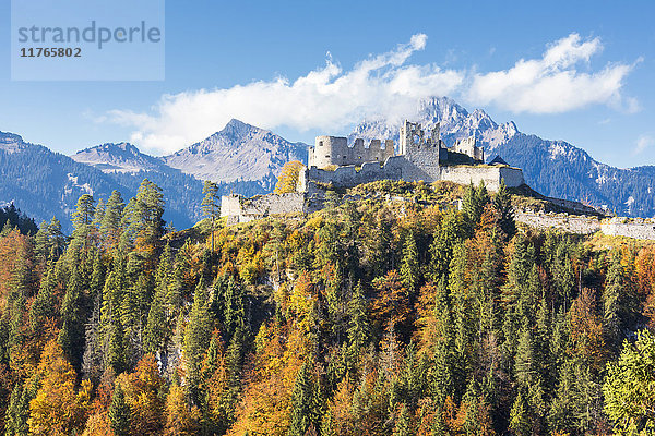 Blick auf die alte Burg Ehrenberg  umgeben von bunten Wäldern und felsigen Gipfeln  Reutte  Österreich  Europa