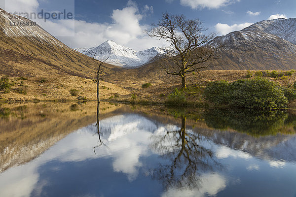 Ruhige See-Reflexion in Glen Etive  Glencoe  Highlands  Schottland  Vereinigtes Königreich  Europa