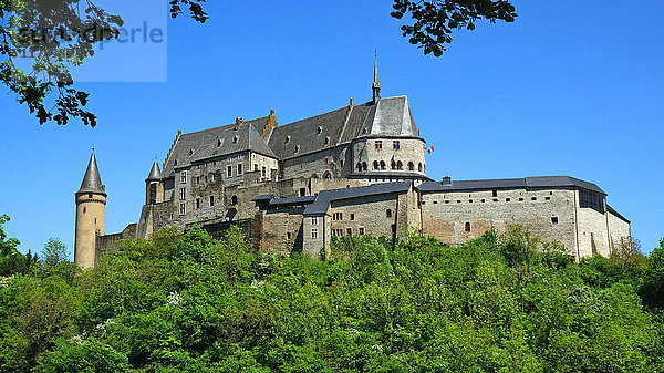 Burg Vianden im Kanton Vianden  Großherzogtum Luxemburg  Europa