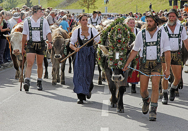 Viehscheid  Jährlicher Viehabtrieb von der Alm ins Tal  Obermaiselstein  Bayern  Deutschland  Europa
