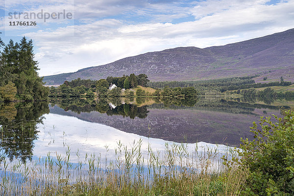 Loch Alvie  Strathspey und Badenoch  Cairngorms  Highland  Schottland  Vereinigtes Königreich  Europa