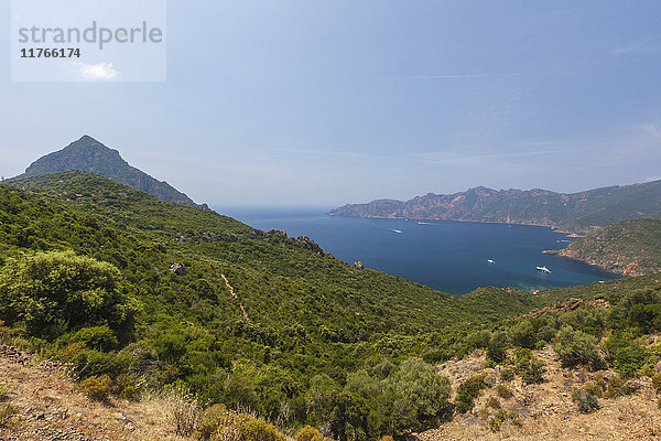 Blick von oben auf das türkisfarbene Meer und die von grüner Vegetation eingerahmte Bucht auf der Landzunge  Porto  Südkorsika  Frankreich  Mittelmeer  Europa