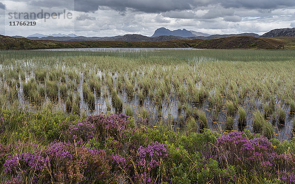 Suilven taucht in der Ferne auf bei diesem Blick über Loch Garvie in der Nähe von Achnahaird  Ross und Cromarty  Highlands  Schottland  Vereinigtes Königreich  Europa