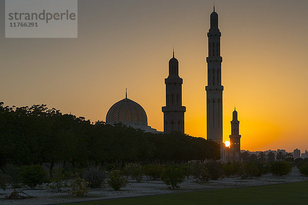 Blick auf die Große Sultan-Qaboos-Moschee bei Sonnenuntergang  Muscat  Oman  Naher Osten