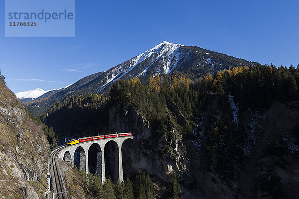 Bernina Express fährt über Landwasser Viadukt  umgeben von bunten Wäldern  Kanton Graubünden  Schweiz  Europa