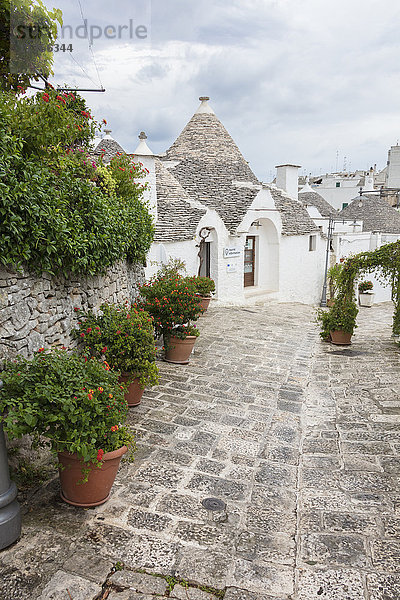 Die typischen Trulli aus Trockenmauerwerk mit konischem Dach  Alberobello  UNESCO-Weltkulturerbe  Provinz Bari  Apulien  Italien  Europa