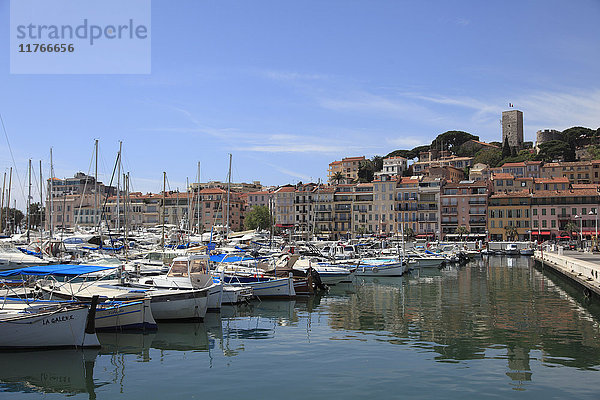 Hafen  Le Suquet  Altstadt  Cannes  Alpes Maritimes  Côte d'Azur  Provence  Côte d'Azur  Frankreich  Mittelmeer  Europa