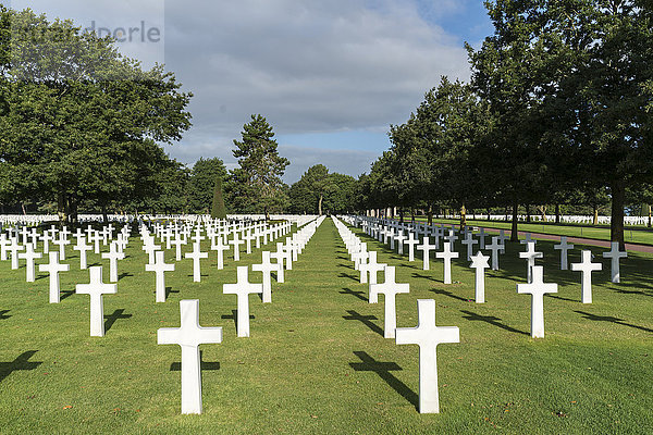 Kreuze auf dem amerikanischen Friedhof und Memorial in der Normandie  Colleville-sur-Mer  Normandie  Frankreich  Europa