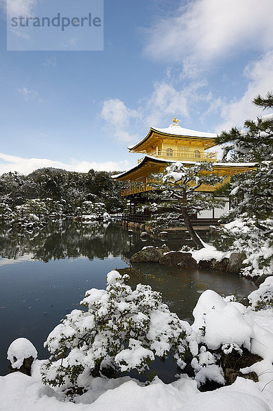 Kinkaku-ji-Tempel (Goldener Pavillon)  UNESCO-Weltkulturerbe  im Winter  Kyoto  Japan  Asien