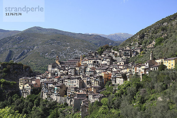 Saorge  hochgelegenes mittelalterliches Dorf  Roya-Tal  Alpes-Maritimes  Côte d'Azur  Côte d'Azur  Provence  Frankreich  Europa