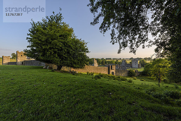 Kells Priory  Grafschaft Kilkenny  Leinster  Republik Irland  Europa