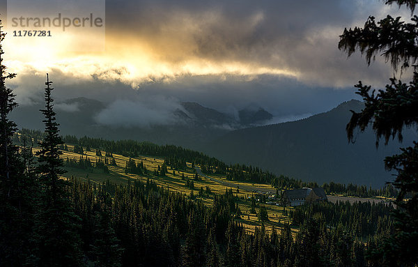 Mount Rainier Wiesen bei Sonnenaufgang  Cascade Ranges  Washington State  Vereinigte Staaten von Amerika  Nordamerika