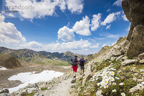 Wanderer umgeben von felsigen Gipfeln und blühenden Gänseblümchen  Joriseen  Jorifless Pass  Kanton Graubünden  Engadin  Schweiz  Europa