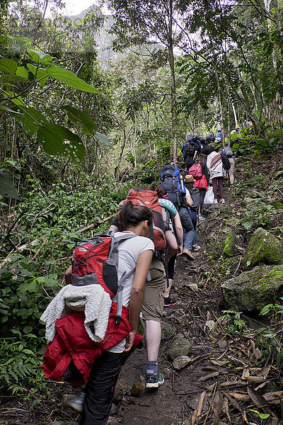 Reisende auf dem Inka-Pfad zu den Inka-Ruinen von Macchu Picchu  Peru  Südamerika