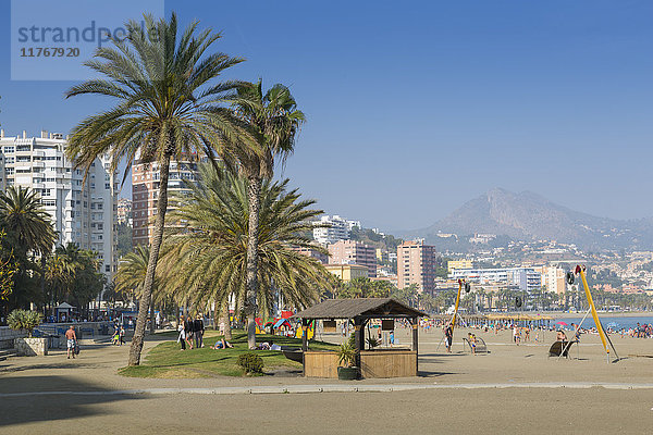 Beliebter Stadtstrand von Playa la Malagueta  Malaga  Costa del Sol  Andalusien  Spanien  Europa