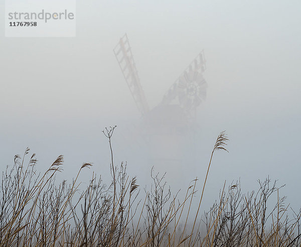 Thurne Mill durch den Nebel gesehen in Thurne  Norfolk  England  Vereinigtes Königreich  Europa