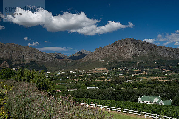 Blick über Franschoek vom Mont Rochelle  Franschoek  Westkap  Südafrika  Afrika