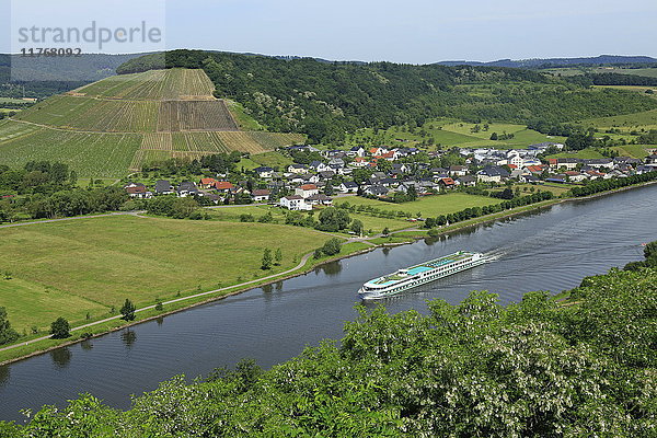 Saar bei Ayl-Biebelhausen  Rheinland-Pfalz  Deutschland  Europa