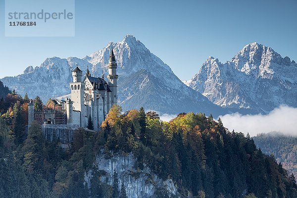 Schloss Neuschwanstein  umgeben von bunten Wäldern und verschneiten Gipfeln  Füssen  Bayern  Deutschland  Europa