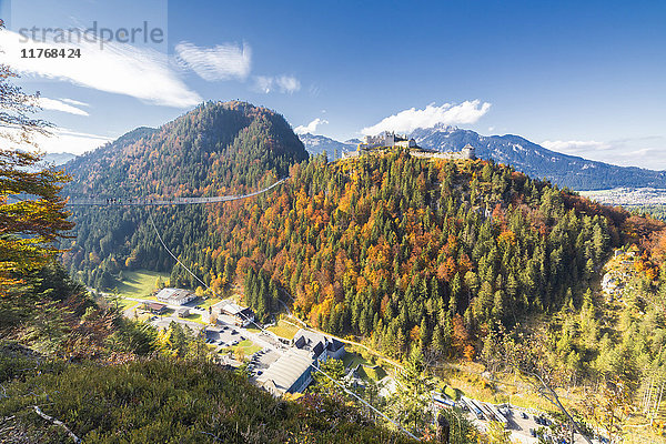 Blick auf die alte Burg Ehrenberg  umgeben von bunten Wäldern und Hängebrücke  Highline 179  Reutte  Österreich  Europa