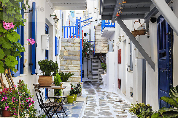 Enge Straße  weiß getünchte Gebäude mit blauer Farbe  Blumen  Mykonos Stadt (Chora)  Mykonos  Kykladen  Griechische Inseln  Griechenland  Europa